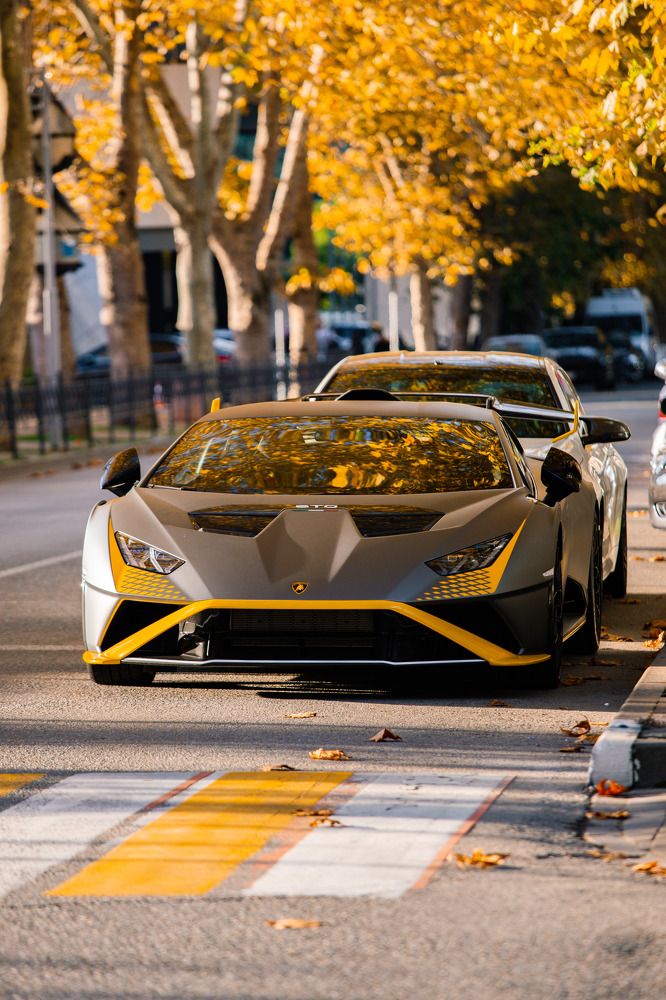 Photograph by Афанасьев Сергей