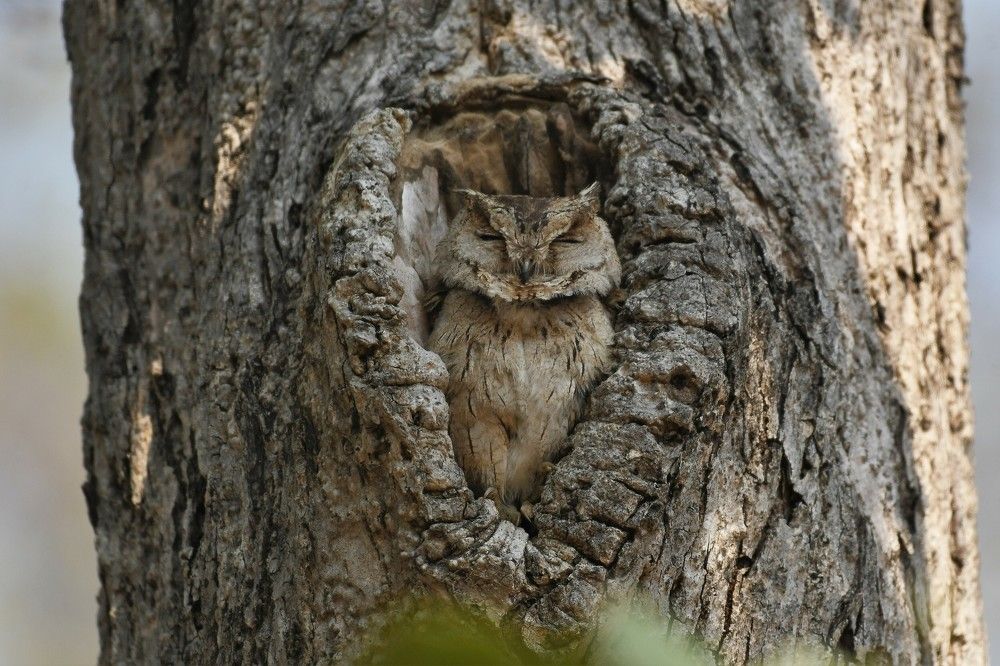 Photograph by Preet saluja