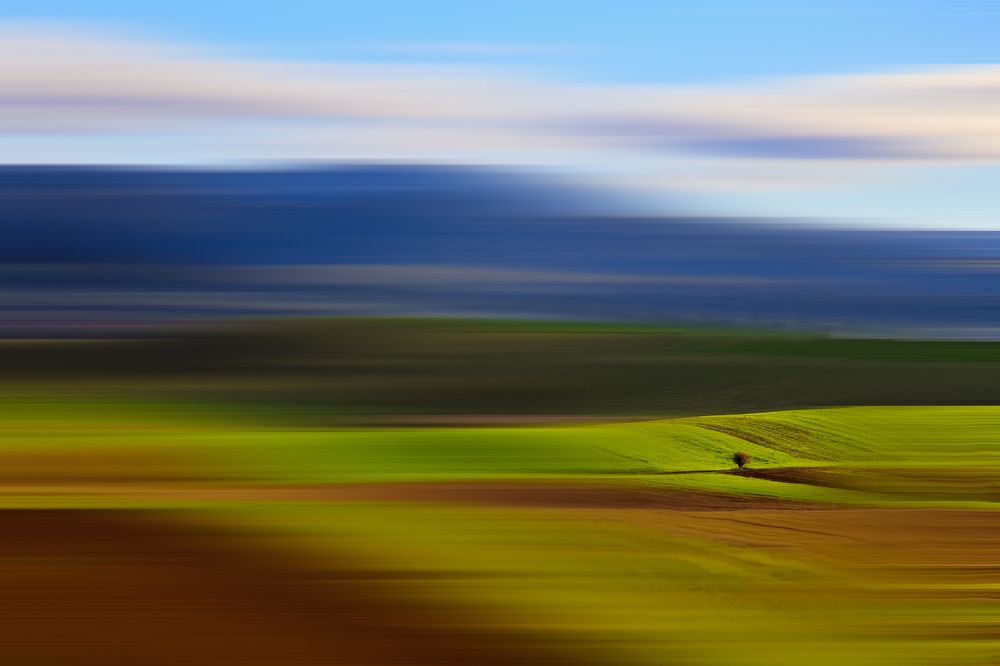 Фотография автора Magdalena Kolenicova