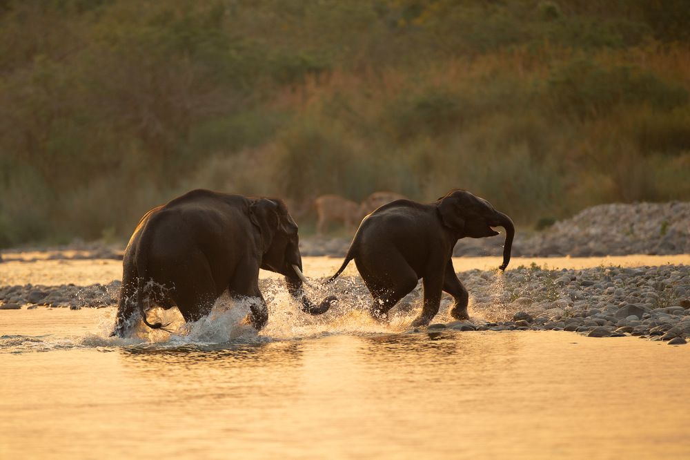 Photograph by Sangeetha Damodaran