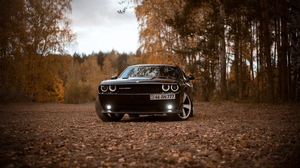 Photograph by Дарья Лисицына