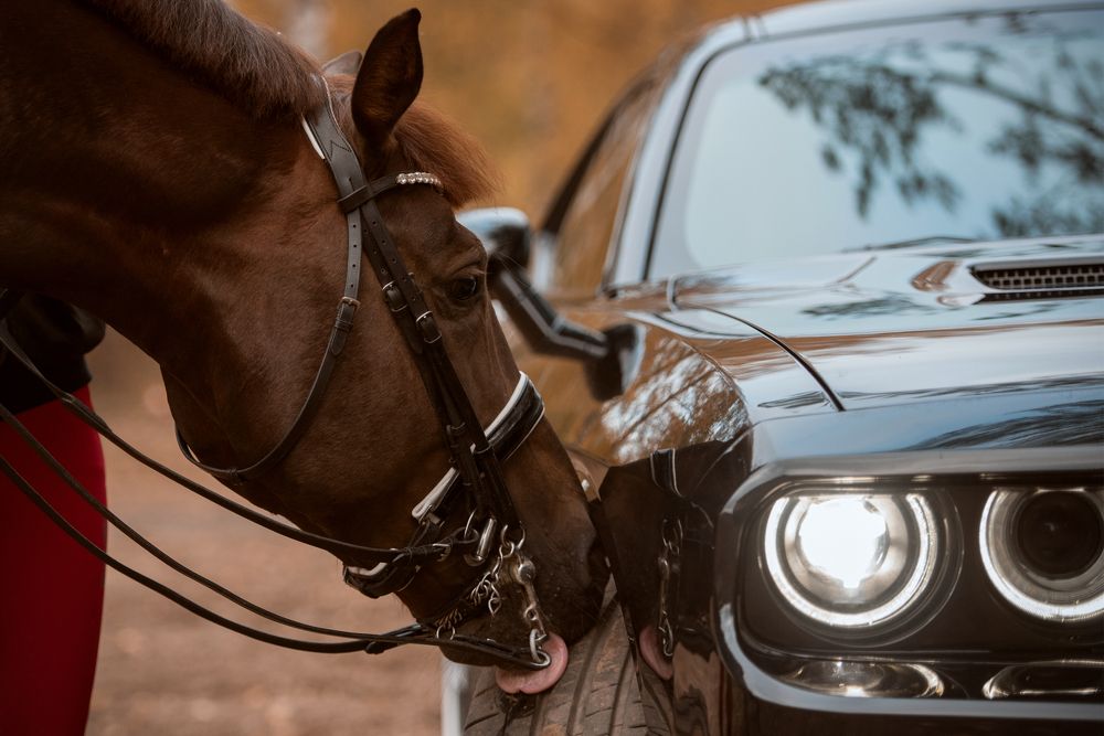 Photograph by Дарья Лисицына