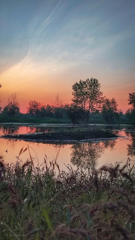 Фотография автора Анастасия Мамаева