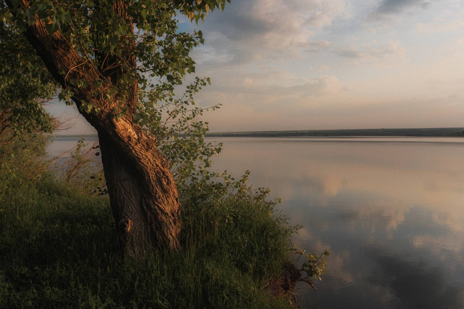 Фотография #9145992