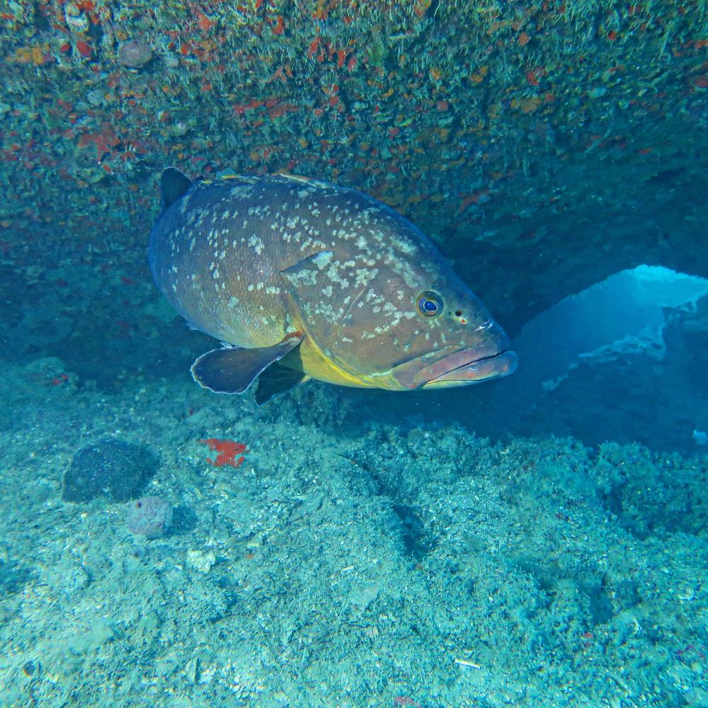 Photograph by KONSTANTINOS EFSTATHIOU