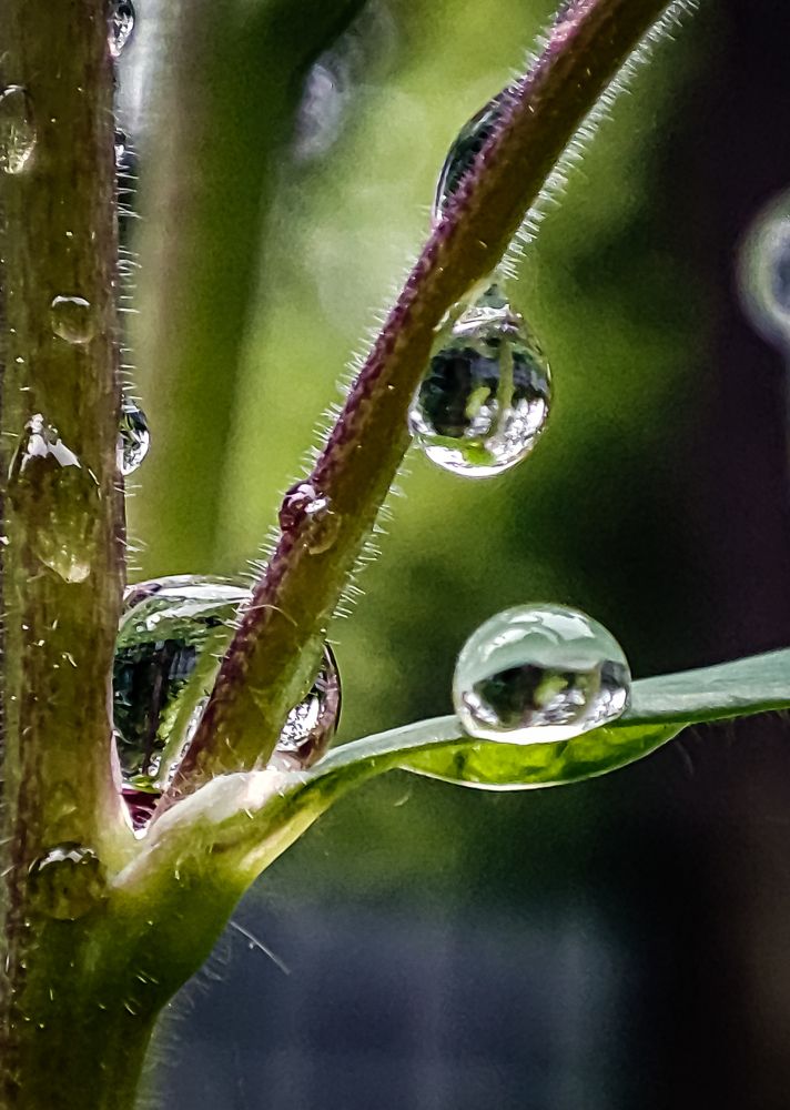 Фотография автора Нина Зинченко