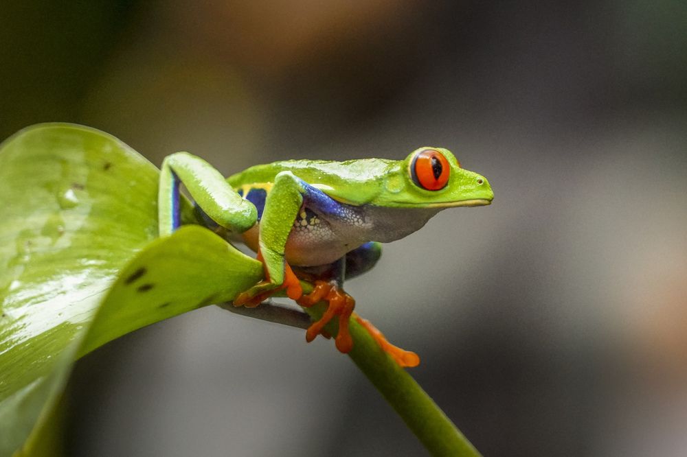 Photograph by Илья Труханов