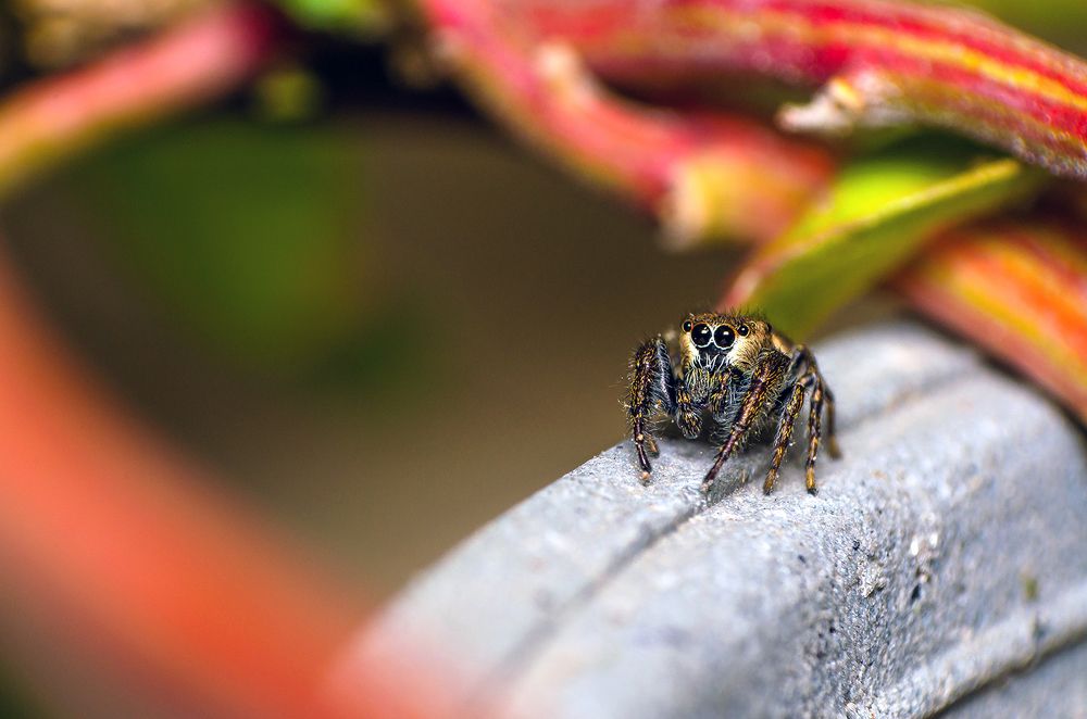 Photograph by Sahar Jafari