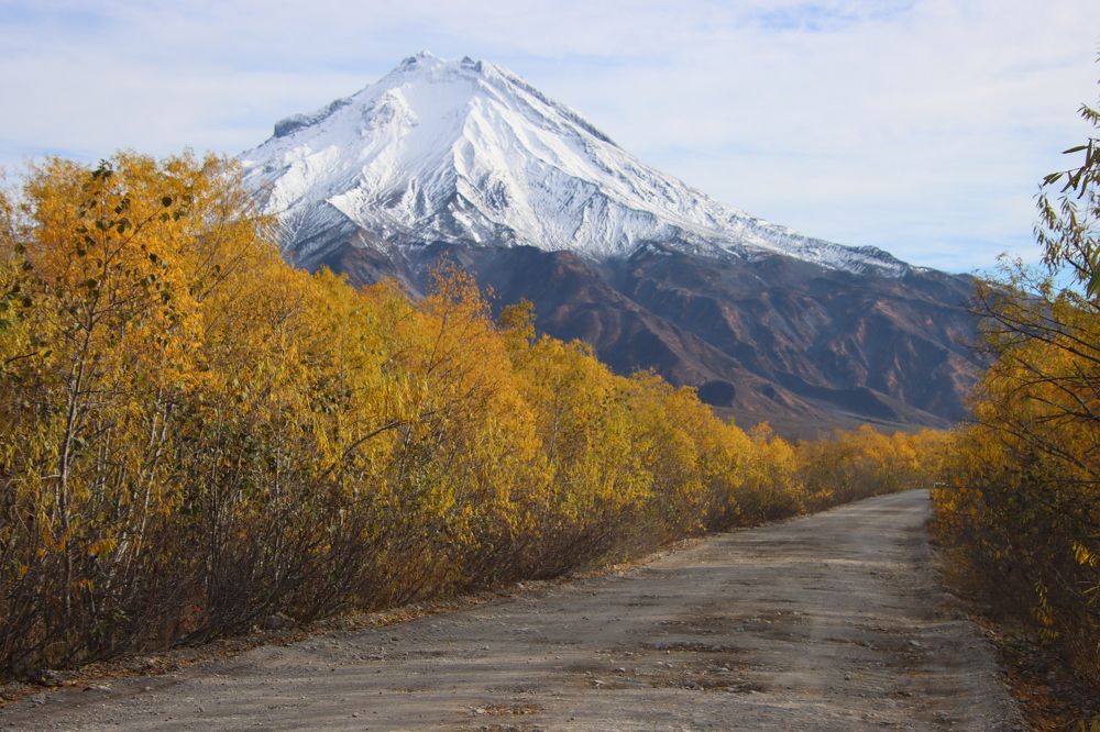 Photograph by Александр Суров