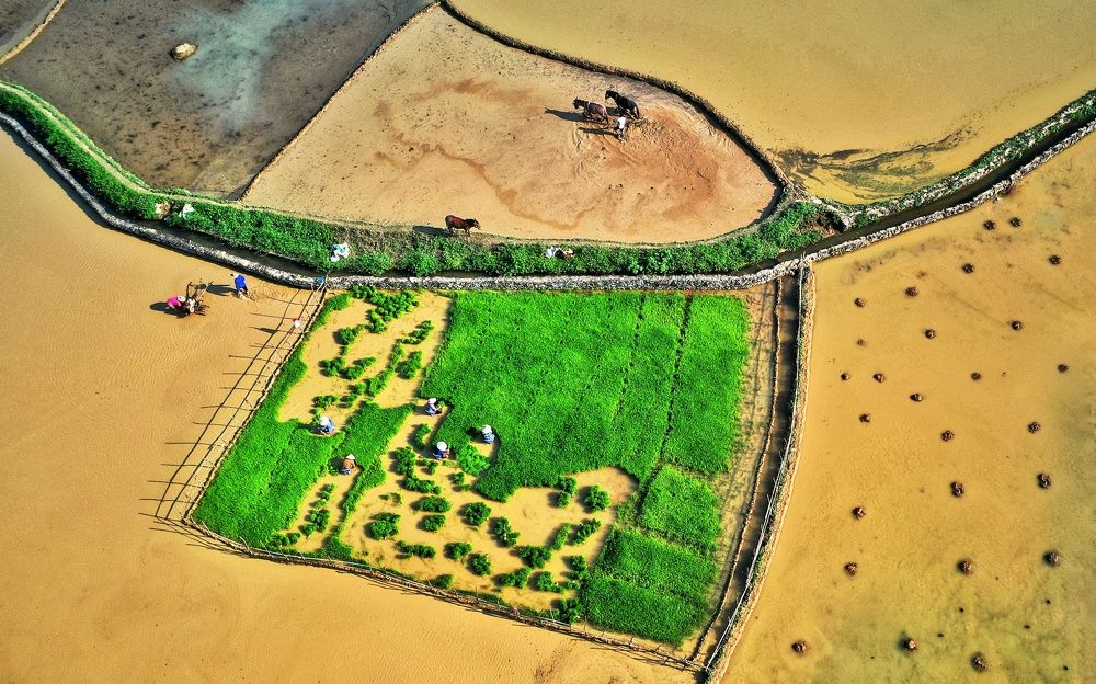 Photograph by Ngoc Ha Vi