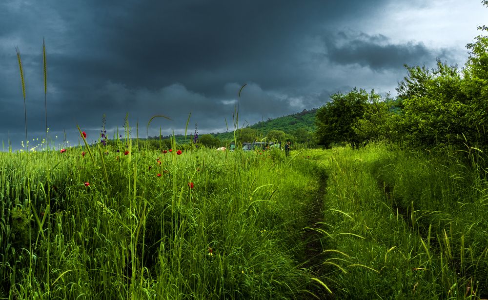 Photograph by Alex Kalpus