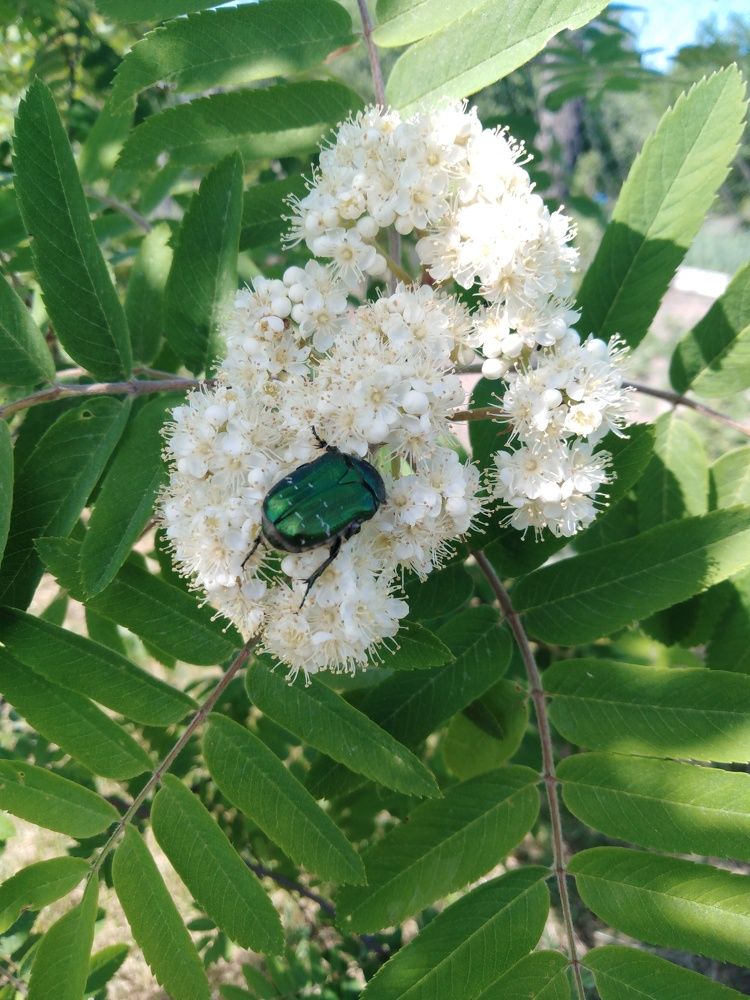 Photograph by Янина