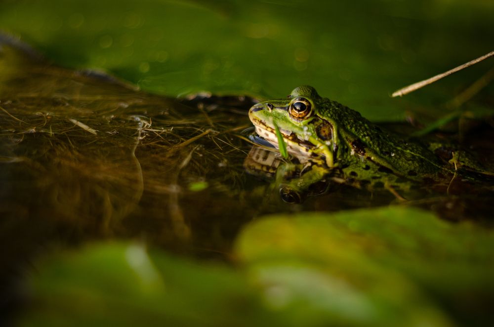 Photograph by Татьяна Бегун