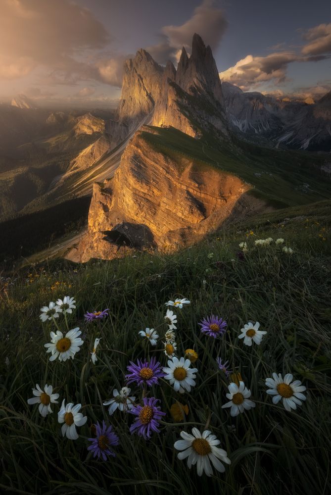 Photograph by Jose Uceda