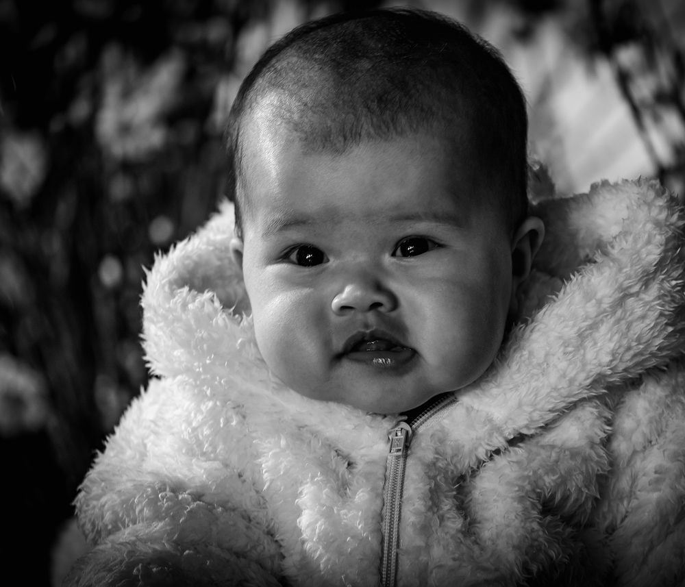 Фотография автора Ngọc Hà Đỗ