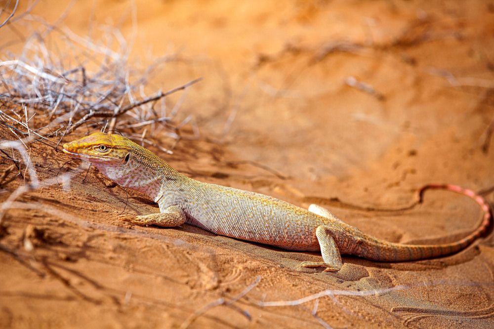 Photograph by Ирина Максимова