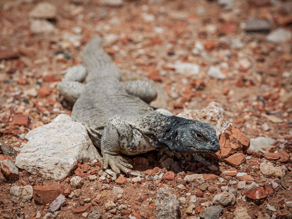 Photograph by Ирина Максимова