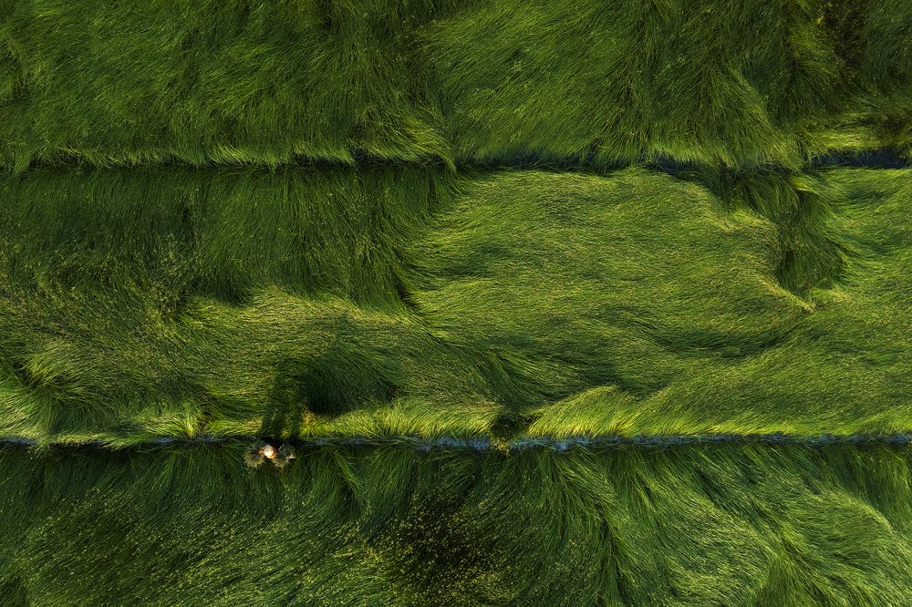 Photograph by CHU HUU LAC