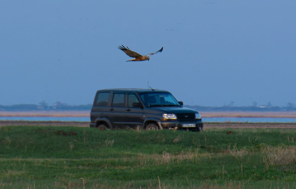 Photograph by Савенко Кирилл