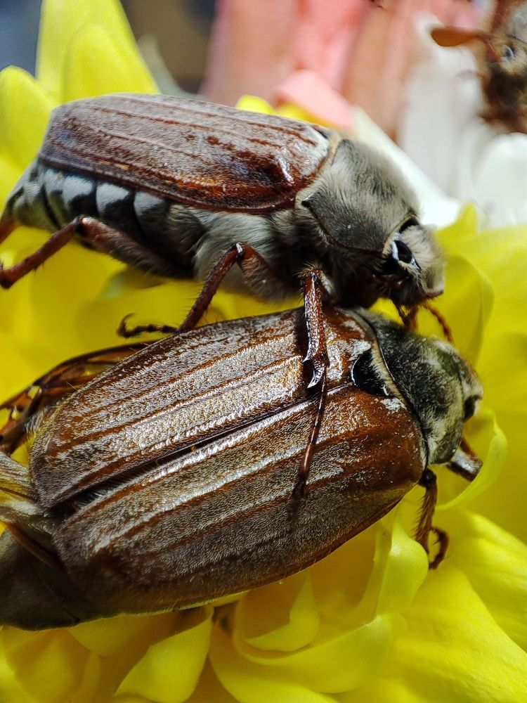 Photograph by Елена Горева