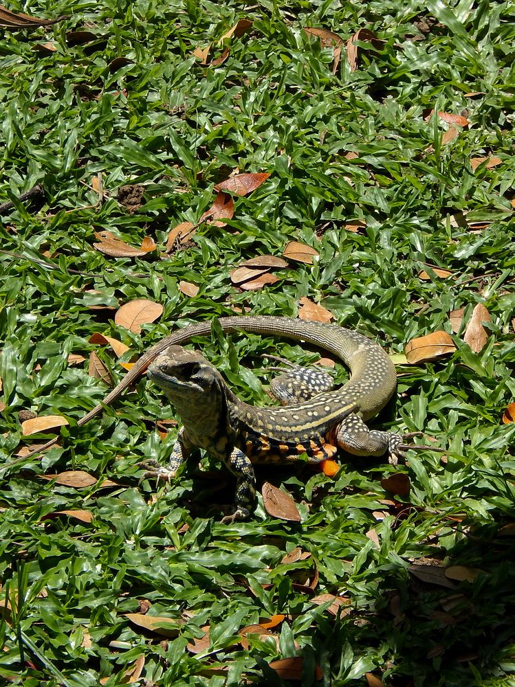 Photograph by Deiltora