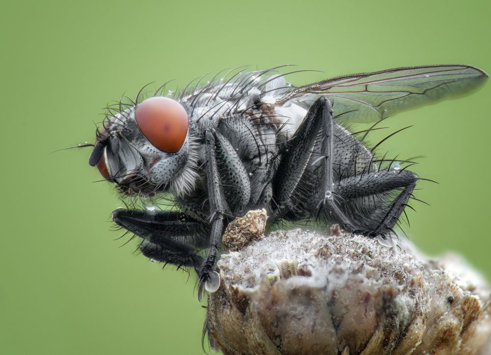 Фотография автора Андрей Жила