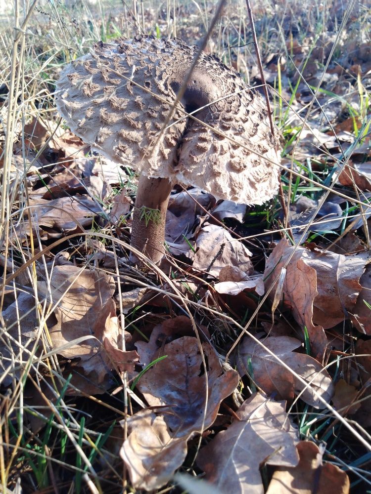 Photograph by Янина