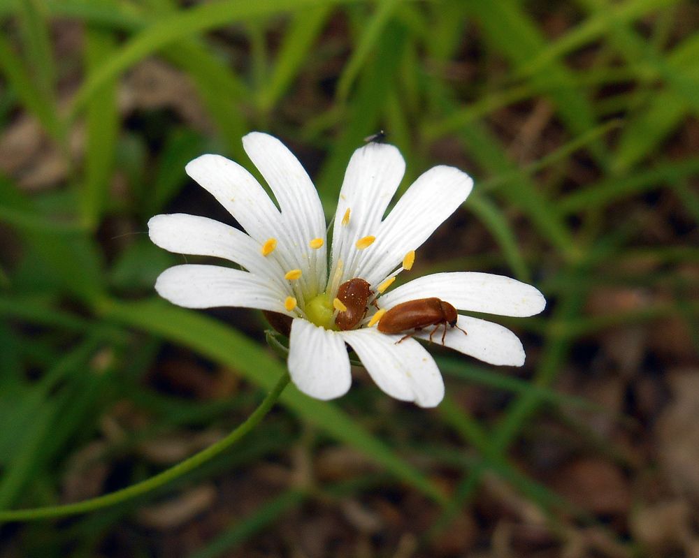 Photograph by Валерий Петухов