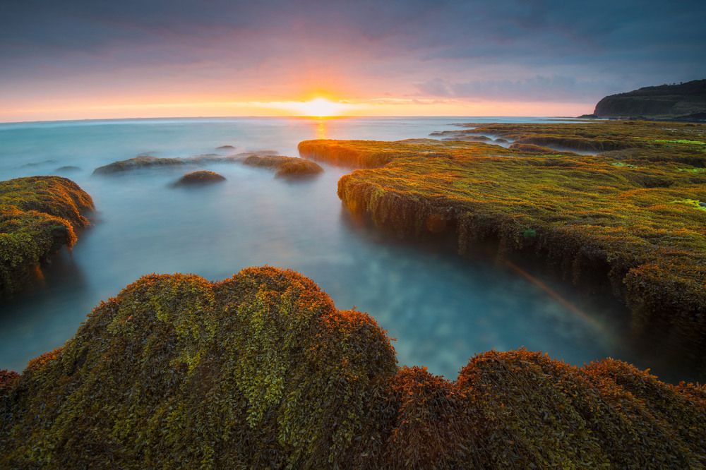 Фотография автора DAO CANH