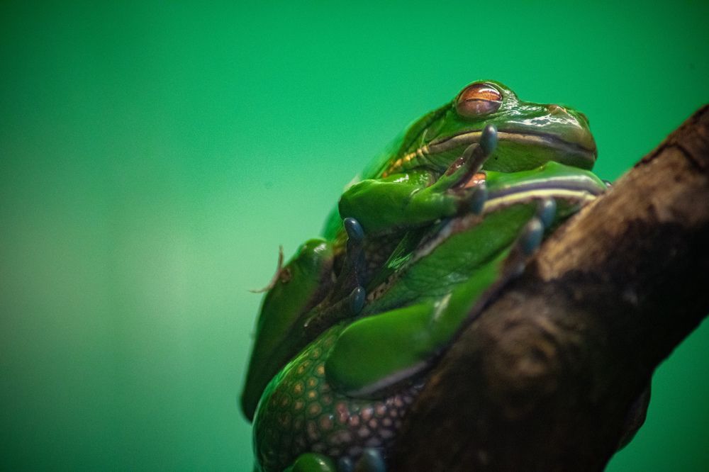 Photograph by Екатерина Абросова