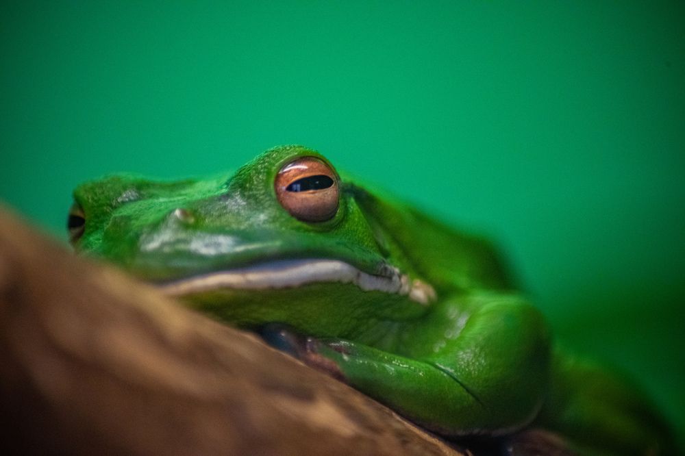 Photograph by Екатерина Абросова