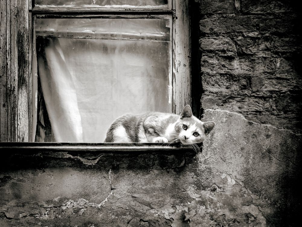 Photograph by Иван Труфанов