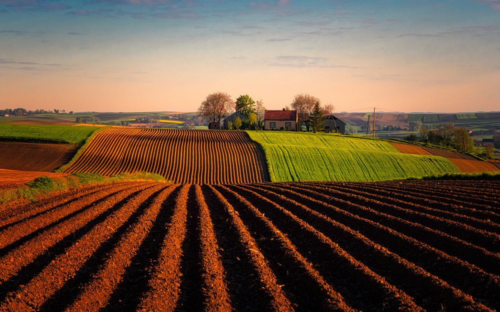 Photograph by Adrian Adi Gli