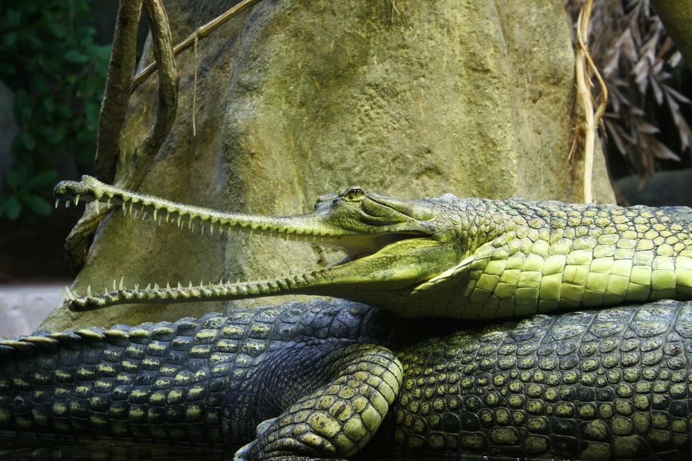 Photograph by Eлена Смирнова