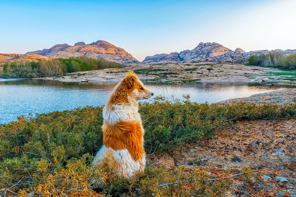 Photograph by Лазарев Сергей