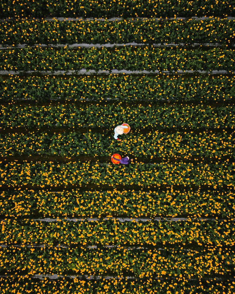 Photograph by I Dewa Nyoman Yaskara S.H.