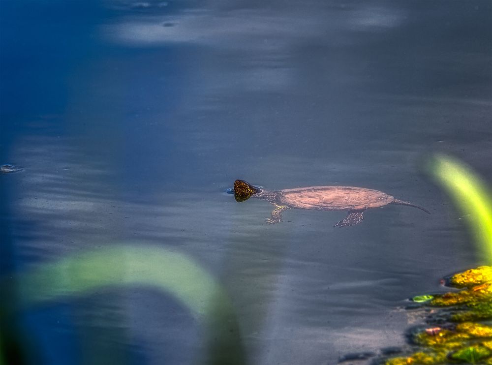 Photograph by Владимир Кваша