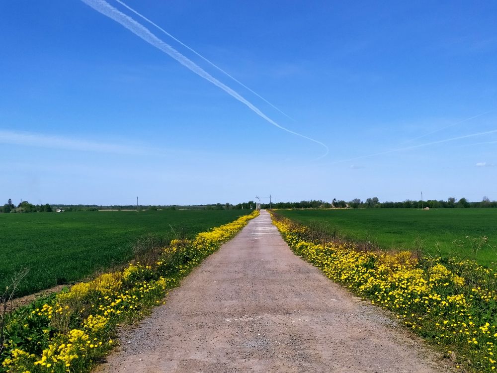 Photograph by Olga Kot