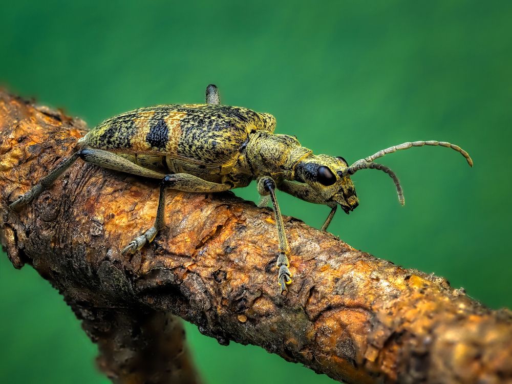 Photograph by савицкий олег