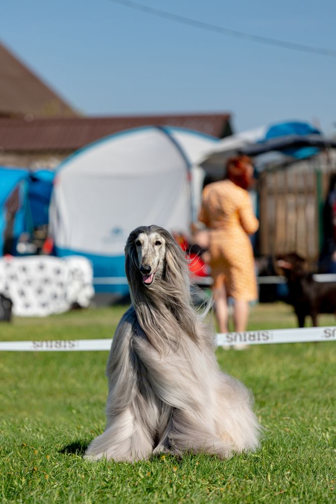 Фотография автора Игорь Ахремчик