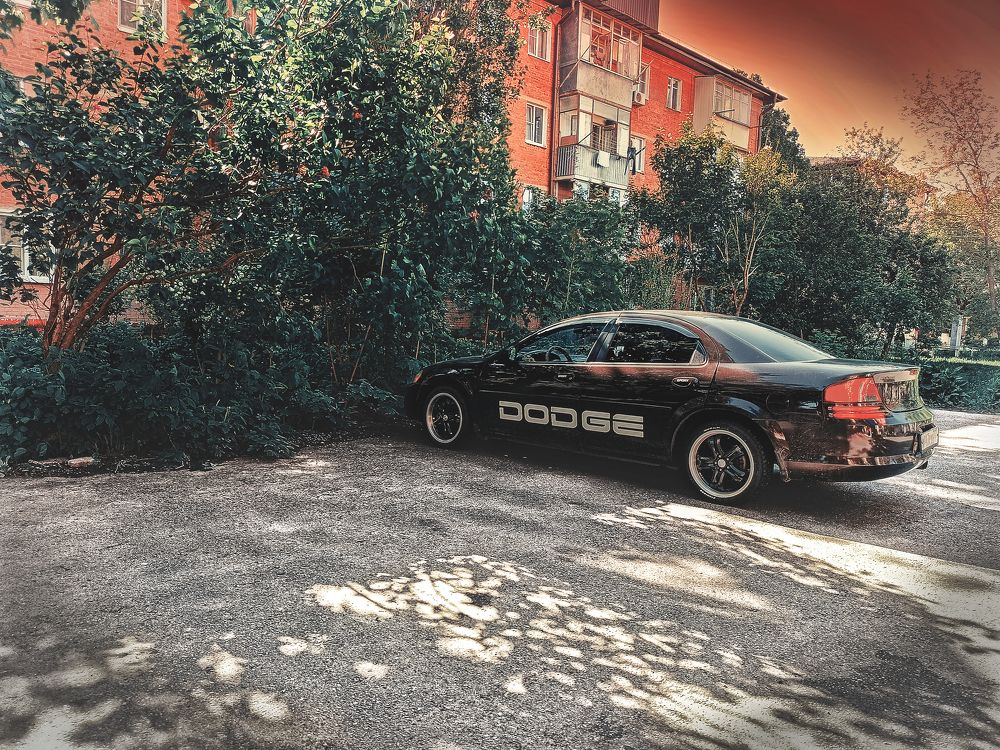 Photograph by Галина Литвинова