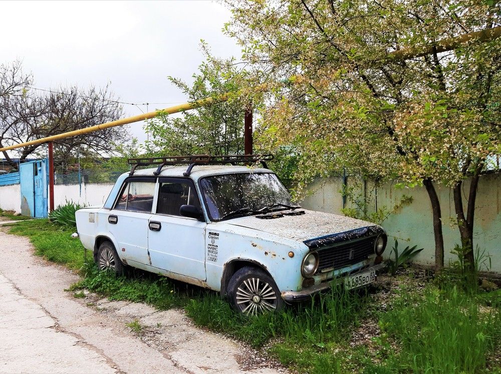 Photograph by Галина Глазкова