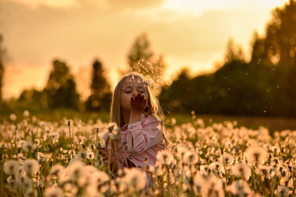 Photograph by Kamilė Grauslytė