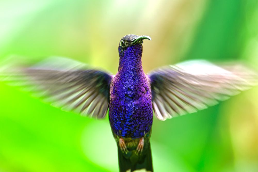 Photograph by Miguel San Martin