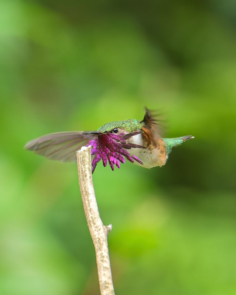 Photograph by Miguel San Martin