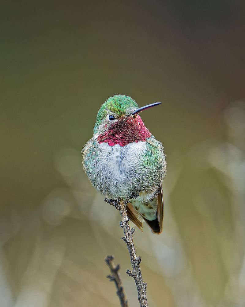 Photograph by Miguel San Martin