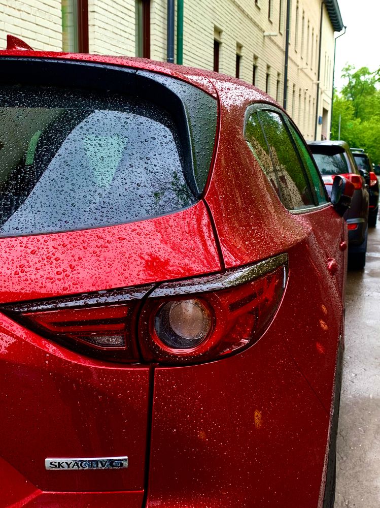 Photograph by Елена Макуха