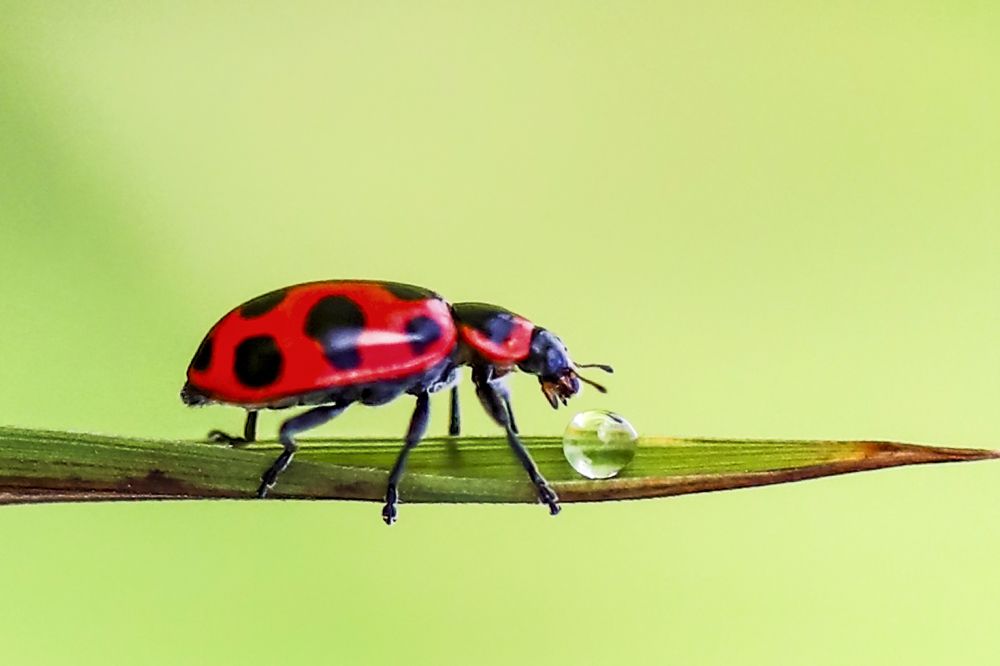 Photograph by Frank cobo blanco