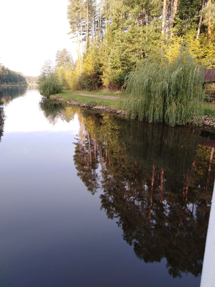 Photograph by Янина Милош