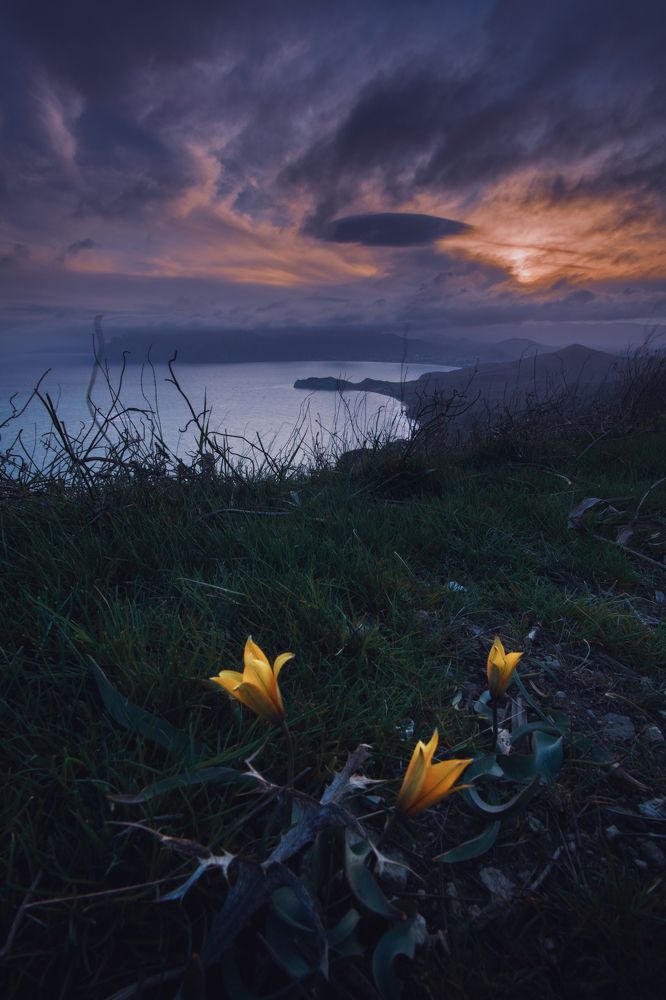 Photograph by Кривцов Андрей